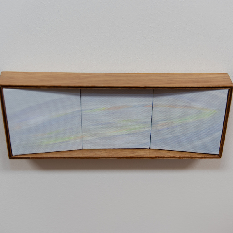 De Vleugel - 2025 - 23x8x4 cm (incl. lijst) - olieverf op canvas, hout